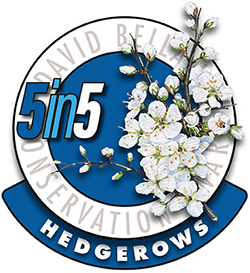 St Ives Holiday Village David Bellamy Conservation Award - Hedgerows